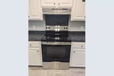 415 Black Avenue, Lexington, SC 29072 - Photo 9