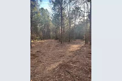 Dsh 3 Wagener Road Dsh 3, Wagener, SC 29164 - Photo 13