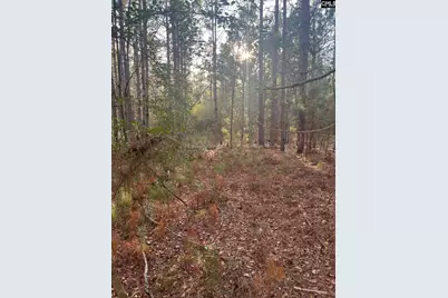 Dsh 3 Wagener Road Dsh 3, Wagener, SC 29164 - Photo 17