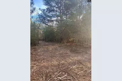 Dsh 3 Wagener Road Dsh 3, Wagener, SC 29164 - Photo 9