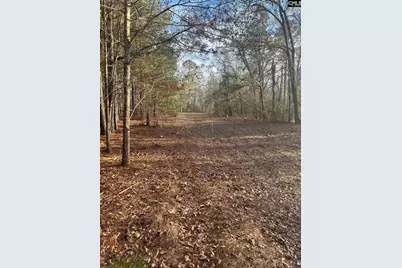 Dsh 3 Wagener Road Dsh 3, Wagener, SC 29164 - Photo 27