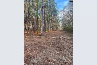 Dsh 3 Wagener Road Dsh 3, Wagener, SC 29164 - Photo 1