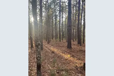 Dsh 3 Wagener Road Dsh 3, Wagener, SC 29164 - Photo 19