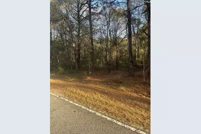 Dsh 3 Wagener Road Dsh 3, Wagener, SC 29164 - Photo 3