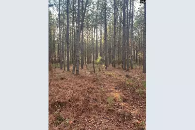 Dsh 3 Wagener Road Dsh 3, Wagener, SC 29164 - Photo 21