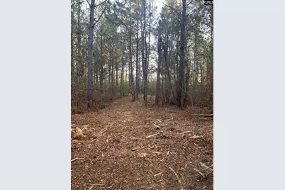 Dsh 3 Wagener Road Dsh 3, Wagener, SC 29164 - Photo 31