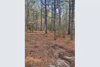 Dsh 3 Wagener Road Dsh 3, Wagener, SC 29164 - Photo 15