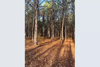 Dsh 3 Wagener Road Dsh 3, Wagener, SC 29164 - Photo 29