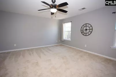 159 Whispering Oak Lane, Chapin, SC 29036 - Photo 23