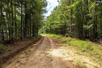 0 Jasper Lane 5 #Lot 5, Summerton, SC 29148 - Photo 9