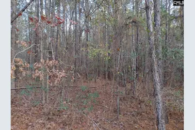 0 Jasper Lane 5 #Lot 5, Summerton, SC 29148 - Photo 11