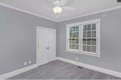 205 Parish Walk, Elgin, SC 29045 - Photo 27