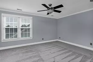 205 Parish Walk, Elgin, SC 29045 - Photo 41