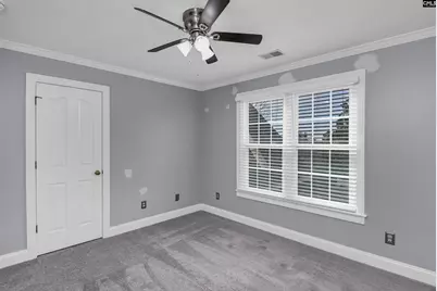 205 Parish Walk, Elgin, SC 29045 - Photo 37