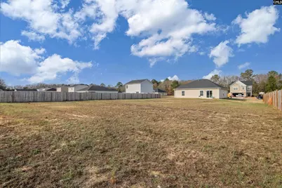 811 Nilo Farms Way, Gaston, SC 29053 - Photo 23