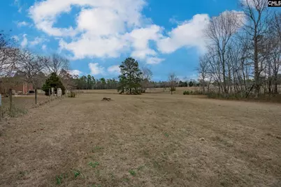 528 Hallman Wagon Road, Leesville, SC 29070 - Photo 59