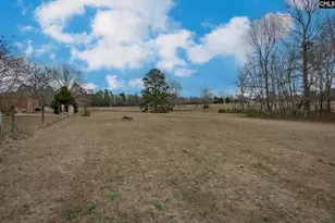 528 Hallman Wagon Rd, Leesville, SC 29070 - Photo 59