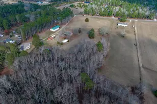 528 Hallman Wagon Rd, Leesville, SC 29070 - Photo 61