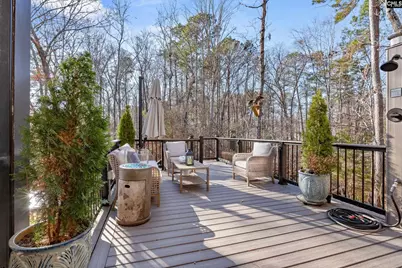 524 Murray Lindler Road, Chapin, SC 29036 - Photo 33