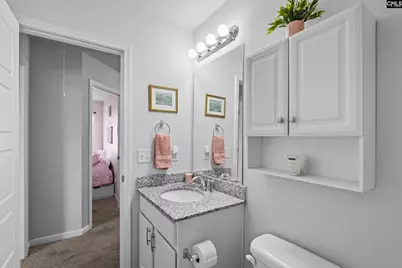 271 Bickley View Court, Chapin, SC 29036 - Photo 23