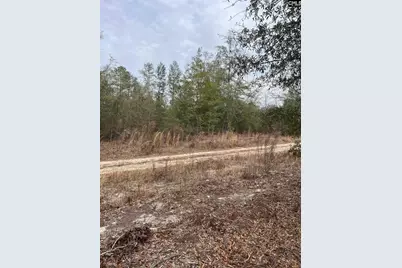 Whl 8 Rainbow Drive Whl 8, Salley, SC 29137 - Photo 21