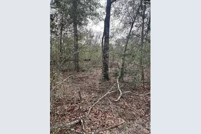 Whl 8 Rainbow Drive Whl 8, Salley, SC 29137 - Photo 7