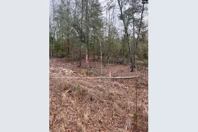 Whl 8 Rainbow Drive Whl 8, Salley, SC 29137 - Photo 3