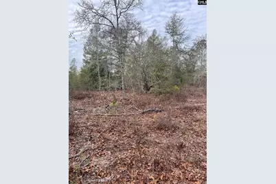 Whl 8 Rainbow Drive Whl 8, Salley, SC 29137 - Photo 15