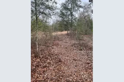 Whl 8 Rainbow Drive Whl 8, Salley, SC 29137 - Photo 23