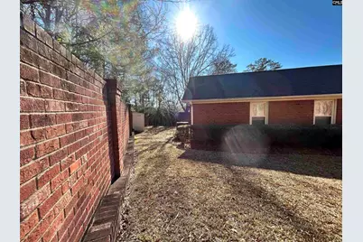 113 Wandering Brook Road, Irmo, SC 29063 - Photo 29