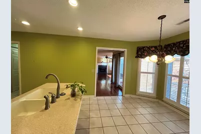 113 Wandering Brook Road, Irmo, SC 29063 - Photo 9