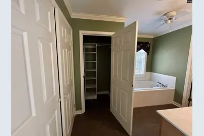 113 Wandering Brook Road, Irmo, SC 29063 - Photo 17