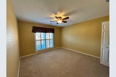 113 Wandering Brook Road, Irmo, SC 29063 - Photo 25
