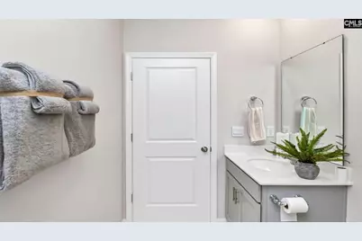 164 Livingston Woods Drive, Irmo, SC 29063 - Photo 9