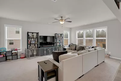 163 Summer Orchard Drive, Lexington, SC 29072 - Photo 9