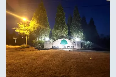 149 Madison Park Drive, Lexington, SC 29072 - Photo 23