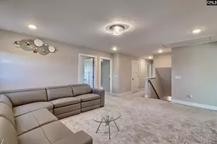 157 Collins Cv Dr, Chapin, SC 29036 - Photo 27