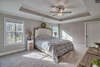 157 Collins Cove Drive, Chapin, SC 29036 - Photo 29