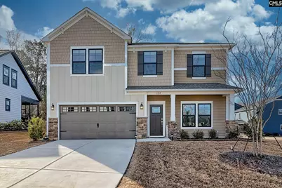 157 Collins Cove Drive, Chapin, SC 29036 - Photo 1
