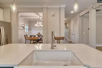 157 Collins Cove Drive, Chapin, SC 29036 - Photo 21