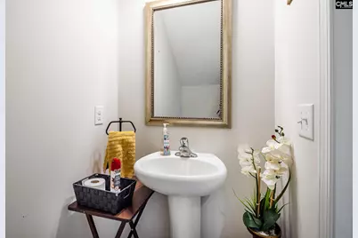 74 Apple Tree Court, Columbia, SC 29223 - Photo 11