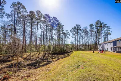 74 Apple Tree Court, Columbia, SC 29223 - Photo 25