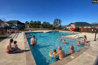 320 Switch Grass Court, Elgin, SC 29045 - Photo 31