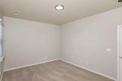 146 Whitton Court, Lexington, SC 29073 - Photo 19