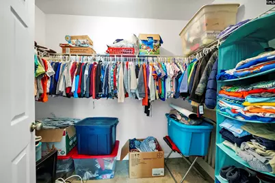 203 Pegonia Lane, Blythewood, SC 29016 - Photo 33