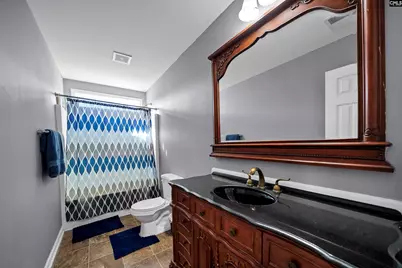 203 Pegonia Lane, Blythewood, SC 29016 - Photo 51