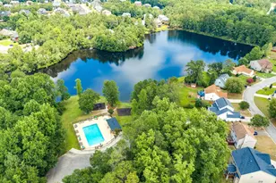 203 Pegonia Ln, Blythewood, SC 29016 - Photo 43