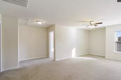 379 Explorer Drive, Chapin, SC 29036 - Photo 11