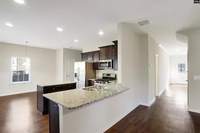 379 Explorer Drive, Chapin, SC 29036 - Photo 9