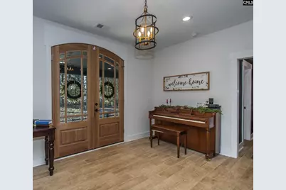 160 Stucks Point, Chapin, SC 29036 - Photo 7